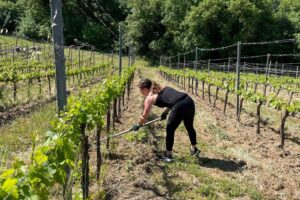 Italy Work Visa - Visalobby