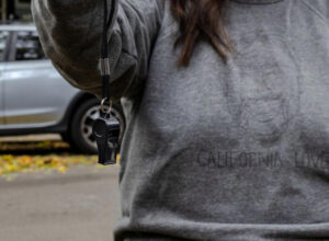 Plastic Wistle, Anti-ICE Resistanc - Visalobby